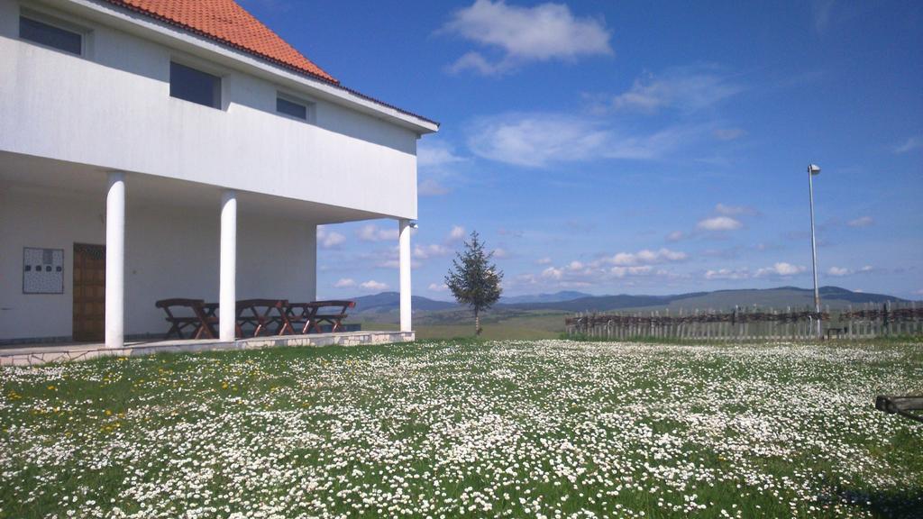Apartments Zlatiborski Visovi Exteriér fotografie